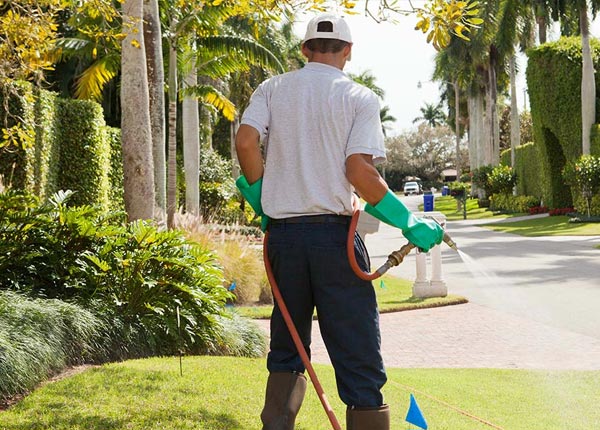 About Niotaze KS Pest Control